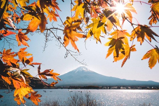 Mount Fuji Classic Day Tour (Join Tour) - Additional Information