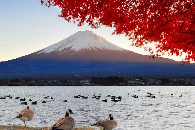 Mount Fuji Classic Day Tour (Join Tour) - What to Expect