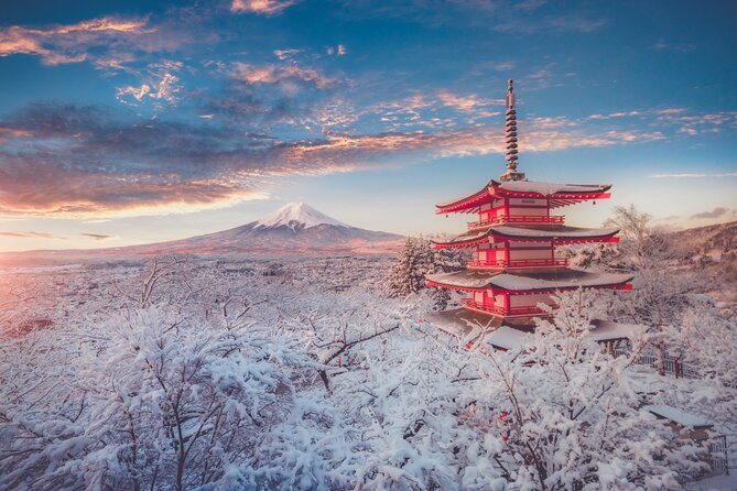 Mount Fuji Customizable Private Tour From Tokyo - Tour Details