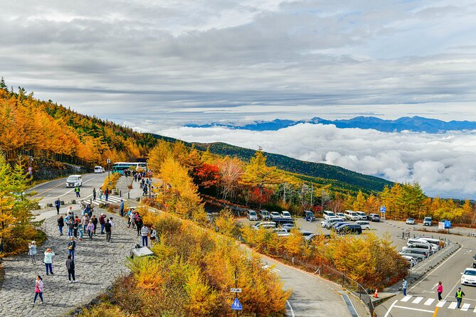 Mount Fuji Customizable Private Tour From Tokyo - Booking Information