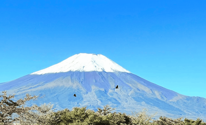 Mount Fuji Customized Tour With English Speaking Guide - What to Bring