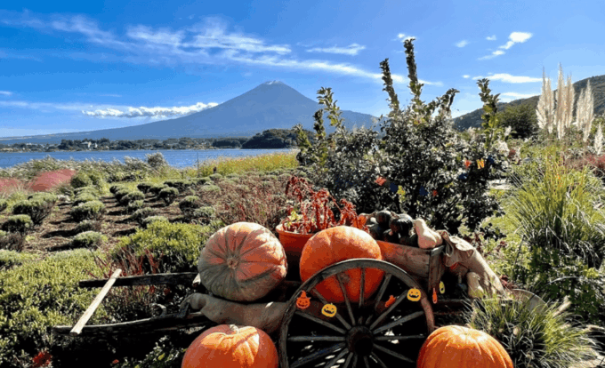 Mount Fuji Customized Tour With English Speaking Guide - Customer Feedback
