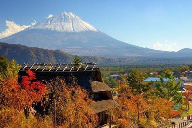Mount Fuji Day Tour on Scenic Lakes and Oshino Hakkai Adventure - Inclusions and Exclusions