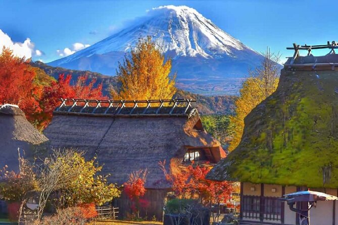 Mount Fuji Day Tour on Scenic Lakes and Oshino Hakkai Adventure - Tour Restrictions and Accessibility