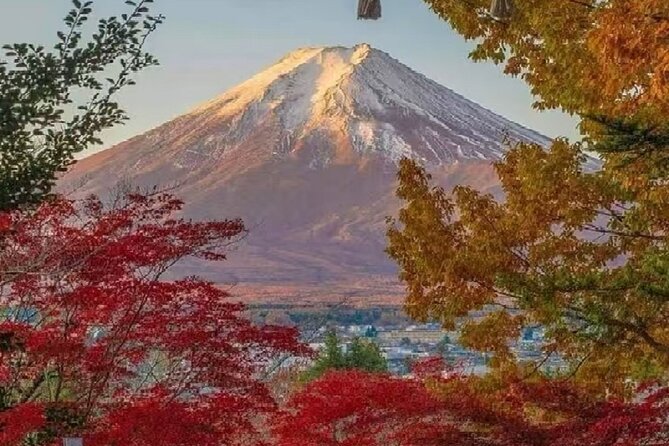 Mount Fuji Day Tour on Scenic Lakes and Oshino Hakkai Adventure - Seasonal Attractions