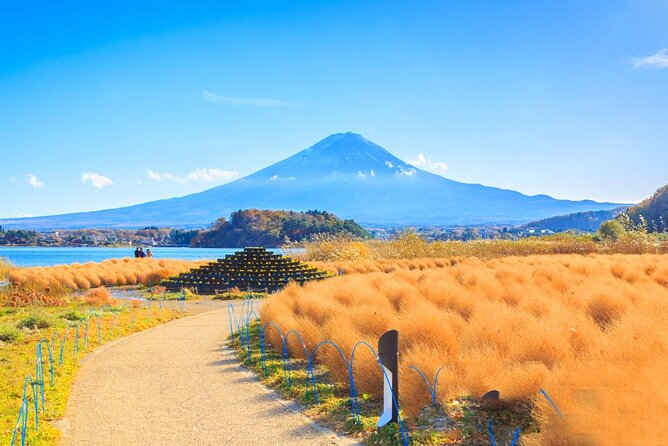 Mount Fuji Day Tour on Scenic Lakes and Oshino Hakkai Adventure - Additional Details