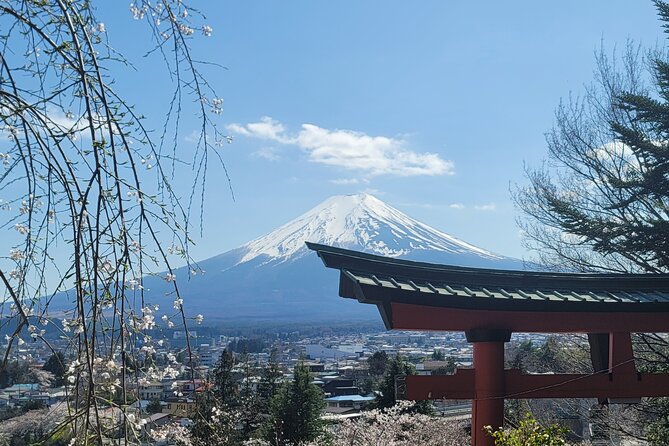 Mount Fuji Day Tour With English/Hindi Speaking Guide - Itinerary and Activities