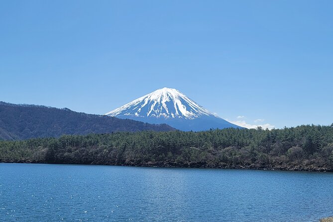 Mount Fuji Day Tour With English/Hindi Speaking Guide - Additional Information