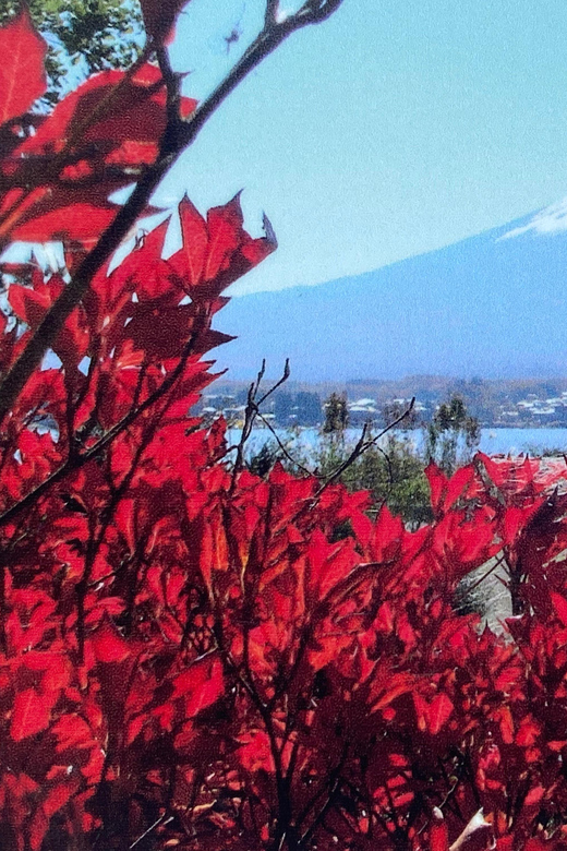 Mount Fuji Day Tour With English Speaking Driver - Natural Beauty and Cultural Heritage