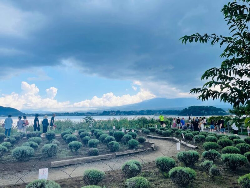 Mount Fuji Day Tour With English Speaking Driver - Itinerary Highlights
