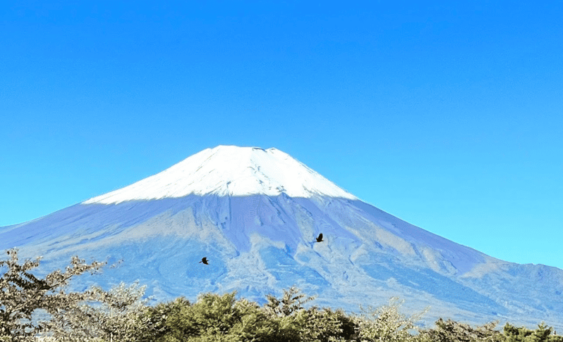 Mount Fuji Day Tour With English Speaking Guide - Key Points