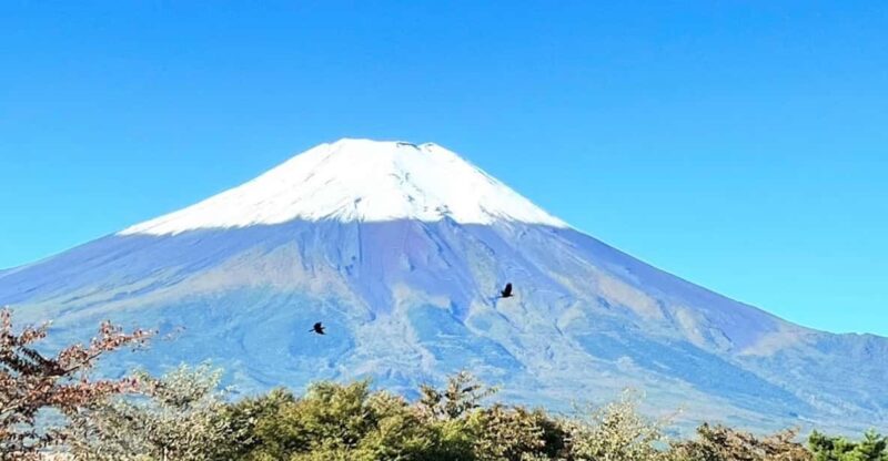 Mount Fuji Day Tour With English Speaking Guide - Highlights