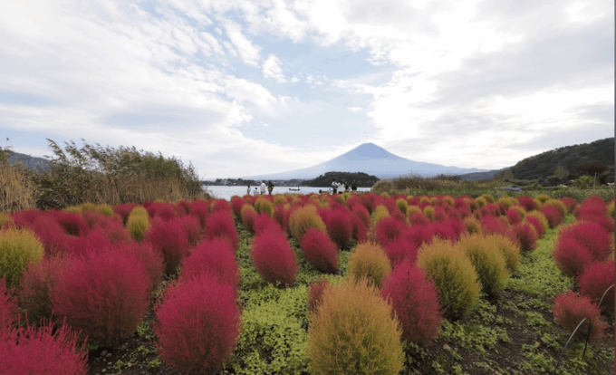 Mount Fuji Day Tour With English Speaking Guide - Customizable Itinerary
