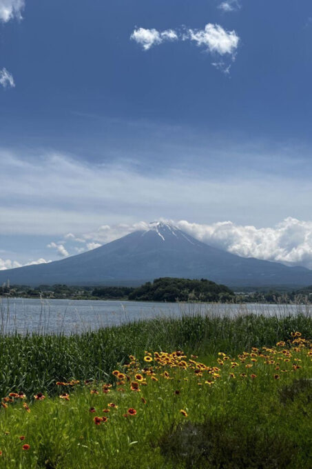 Mount Fuji Day Trip: Adventure Around Lake Kawaguchiko - Important Considerations for the Adventure