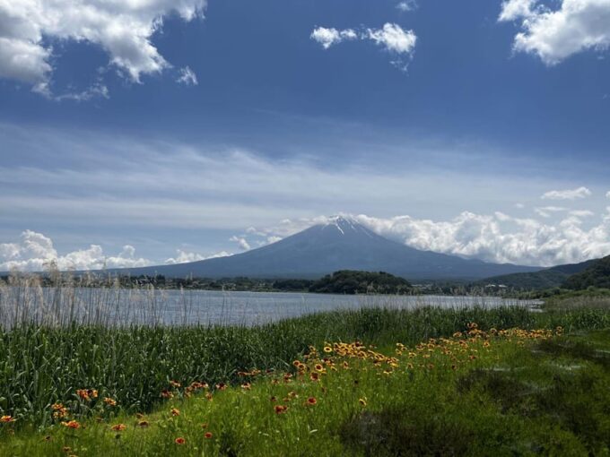 Mount Fuji Day Trip: Adventure Around Lake Kawaguchiko - Frequently Asked Questions