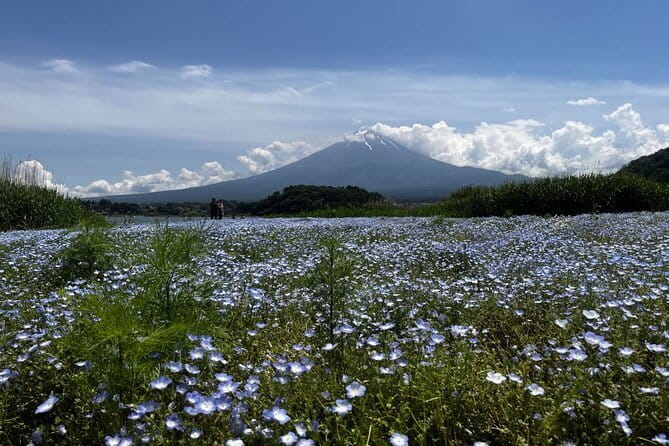 Mount Fuji Day Trip Around Lake Kawaguchiko - Included Services
