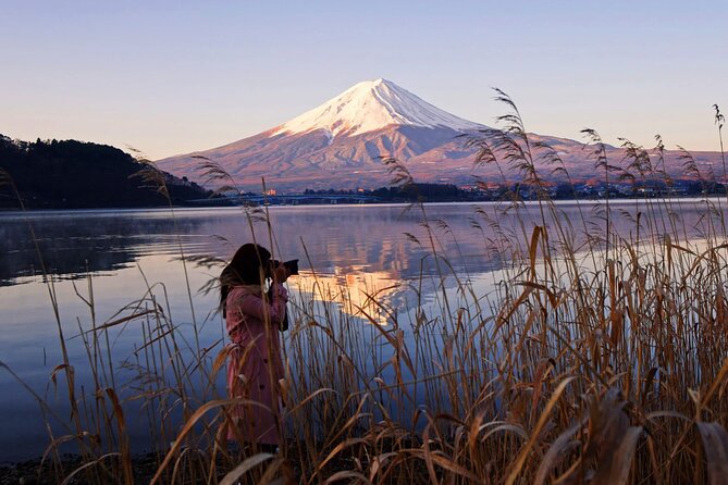 Mount Fuji Day Trip From Tokyo With English Speaking Chauffeur - Inclusions and Highlights of the Tour