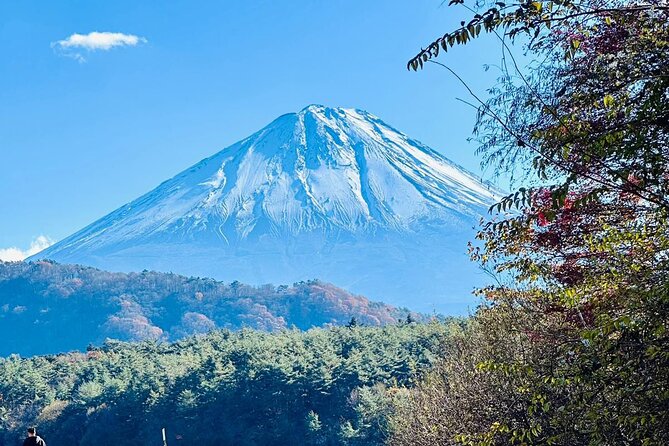 Mount Fuji Day Trip From Tokyo With English Speaking Chauffeur - Accessibility and Participation Details