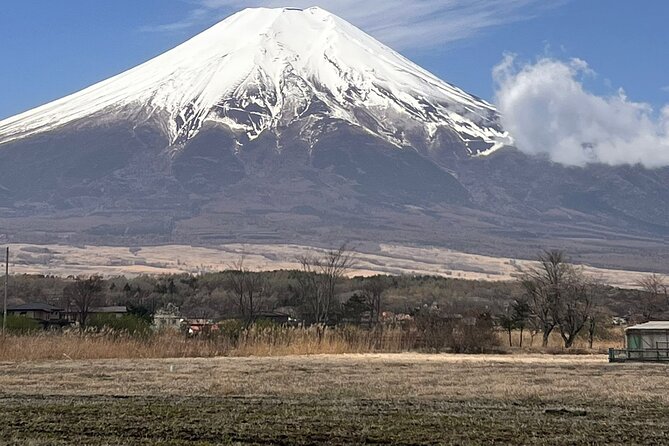 Mount Fuji Day Trip From Tokyo With English Speaking Chauffeur - Booking and Cancellation Policies