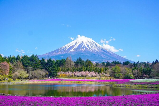 Mount Fuji Day Trip From Tokyo With English Speaking Chauffeur - Experiencing the Cultural Attractions