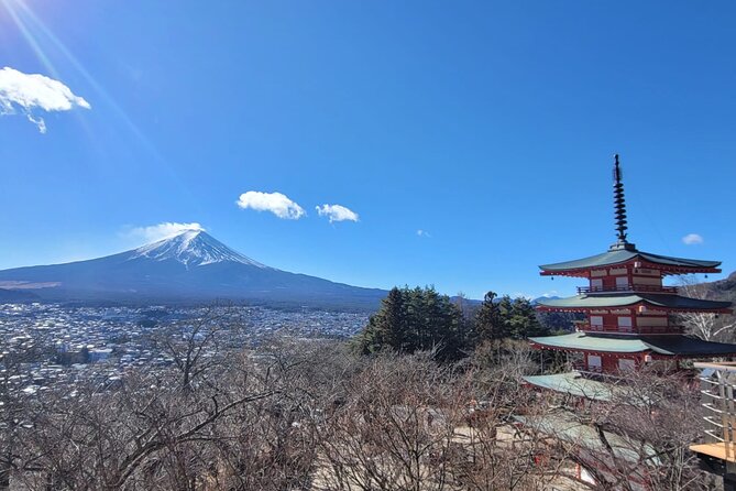Mount Fuji Day Trip From Tokyo With English Speaking Chauffeur - What to Expect on the Day Trip