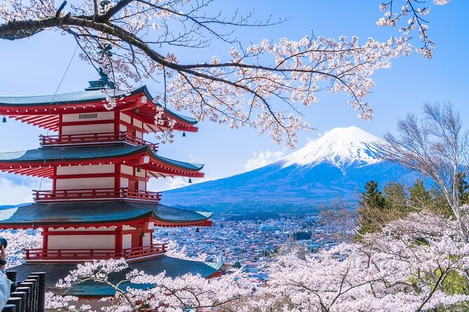 Mount Fuji Day Trip From Tokyo With Scenic Views - Transportation and Logistics