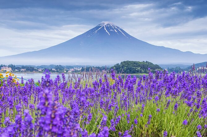 Mount Fuji Day Trip From Tokyo With Scenic Views - Inclusions and Additional Costs