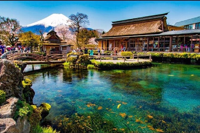 Mount Fuji Day Trip From Tokyo With Scenic Views - Accessibility and Participation Guidelines