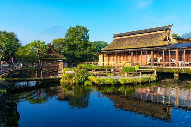 Mount Fuji Day Trip From Tokyo With Scenic Views - Traveler Experiences and Impressions