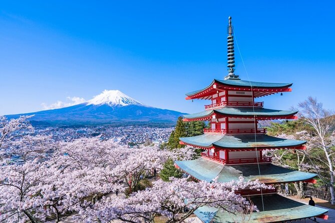 Mount Fuji Day Trip With Yamanakako Hot Springs From Tokyo - Transportation Logistics
