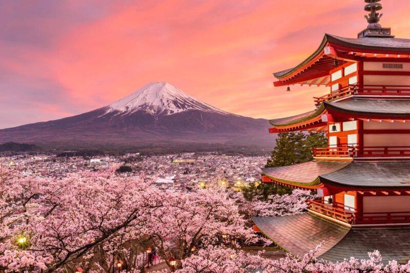 Mount Fuji: Exclusive Private Car Tour - Inclusions