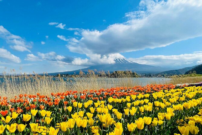 Mount Fuji Four Iconic Scenic Spots Day Tour From Tokyo - Itinerary