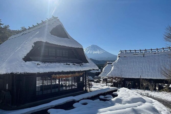 Mount Fuji Four Iconic Scenic Spots Day Tour From Tokyo - Inclusions and Exclusions