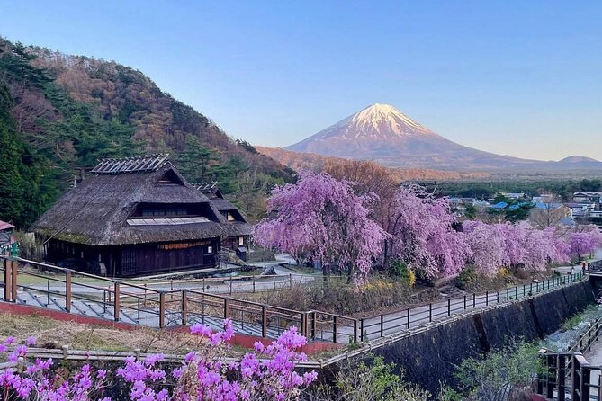 Mount Fuji Four Iconic Scenic Spots Day Tour From Tokyo - Accessibility and Participation Guidelines