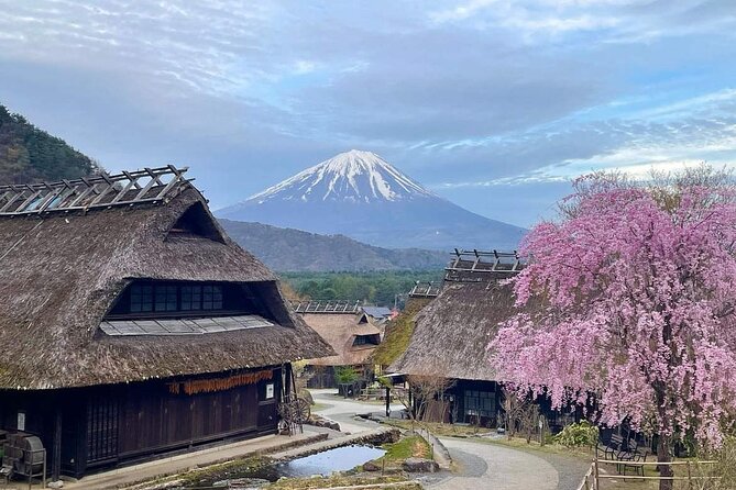 Mount Fuji Four Iconic Scenic Spots Day Tour From Tokyo - Additional Considerations