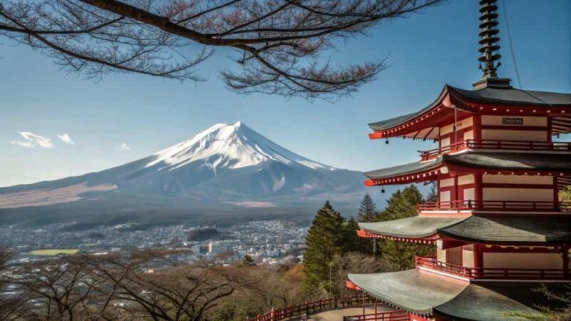 Mount Fuji Full Day Private Tour from Tokyo (Customizable) - What Makes This Tour Stand Out?