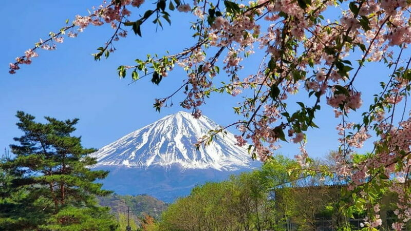 Mount Fuji Full-Day Private Tour from Tokyo (Customizable) - What’s Included and What’s Not