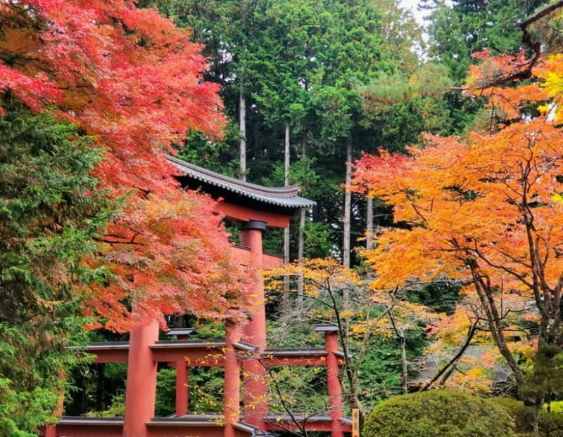 Mount Fuji Full-Day Private Tour from Tokyo (Customizable) - Who Will Love This Tour?