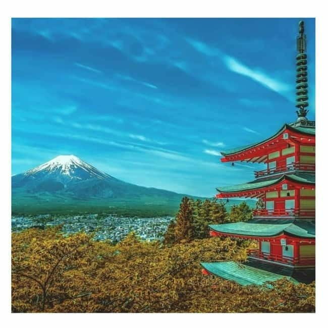 Mount Fuji Full Day Private Tour from Tokyo Full Customized - The Practicality of a Private Mount Fuji Tour