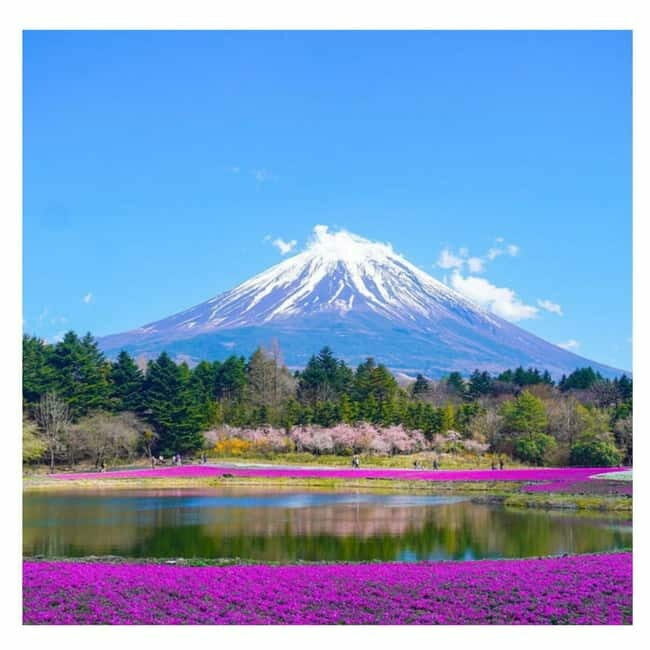 Mount Fuji Full Day Private Tour from Tokyo Full Customized - Breaking Down the Itinerary