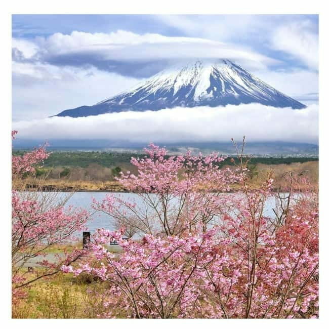 Mount Fuji Full Day Private Tour from Tokyo Full Customized - FAQs