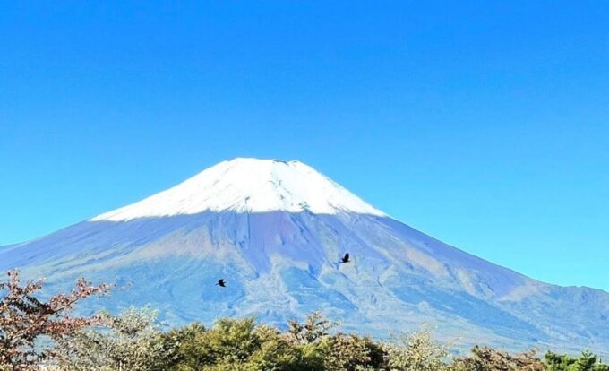 Mount Fuji Full Day Private Tour With English Speaking Guide - Activity and Ticket Pricing