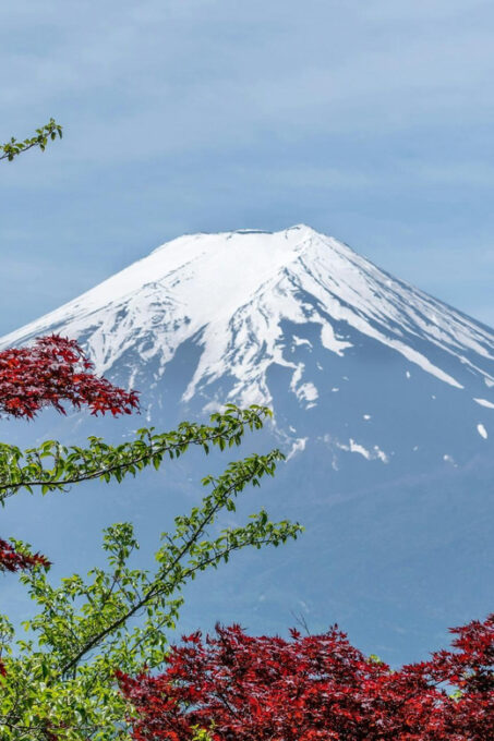 Mount Fuji Full Day Private Tour With English Speaking Guide - Cancellation Policy