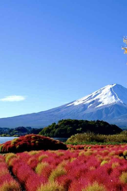 Mount Fuji Full Day Private Tour With Pick-Up and Drop off - Itinerary