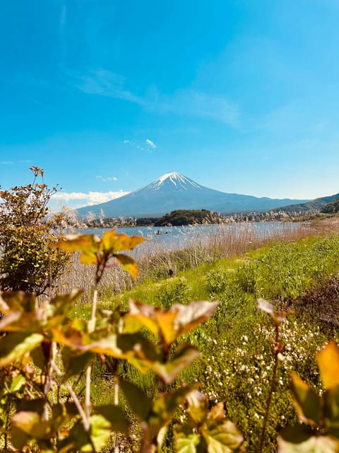 Mount Fuji Full Day Private Trip With English Speak Driver - Pickup and Drop-off Locations