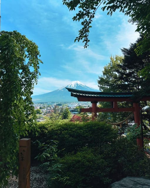 Mount Fuji Full Day Private Trip With English Speak Driver - Restrictions and Considerations