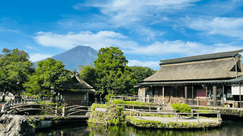 Mount Fuji Full Day Sightseeing Private Tour - Highlights