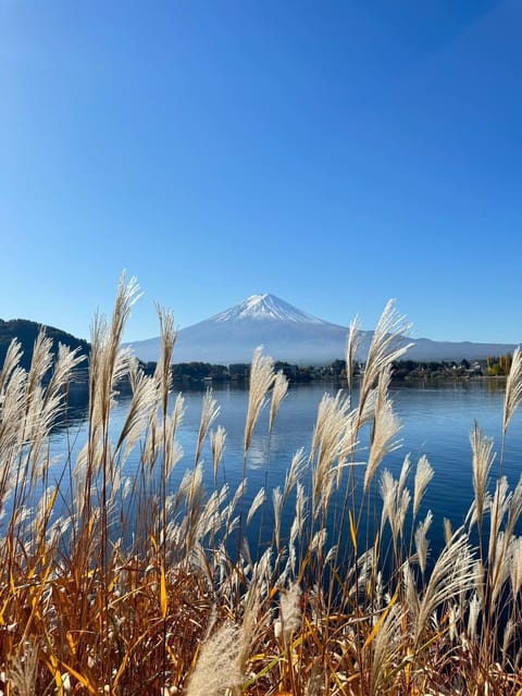 Mount Fuji Full Day Sightseeing Private Tour - Itinerary Options