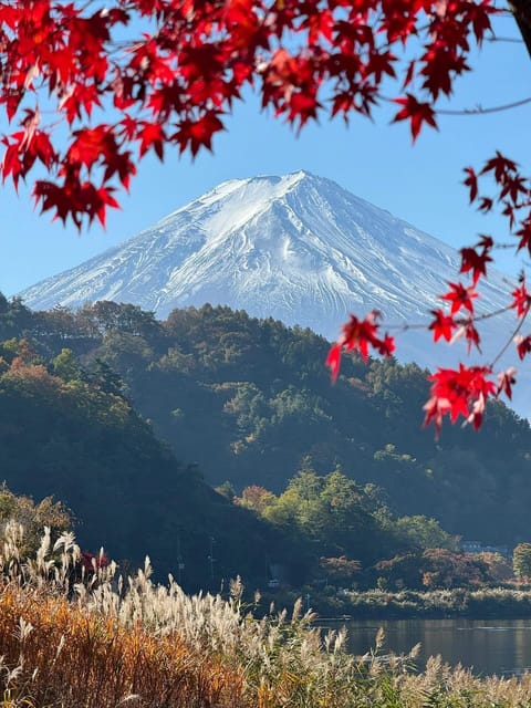 Mount Fuji Full Day Sightseeing Private Tour - Option 1: Mount Fuji and Hakone