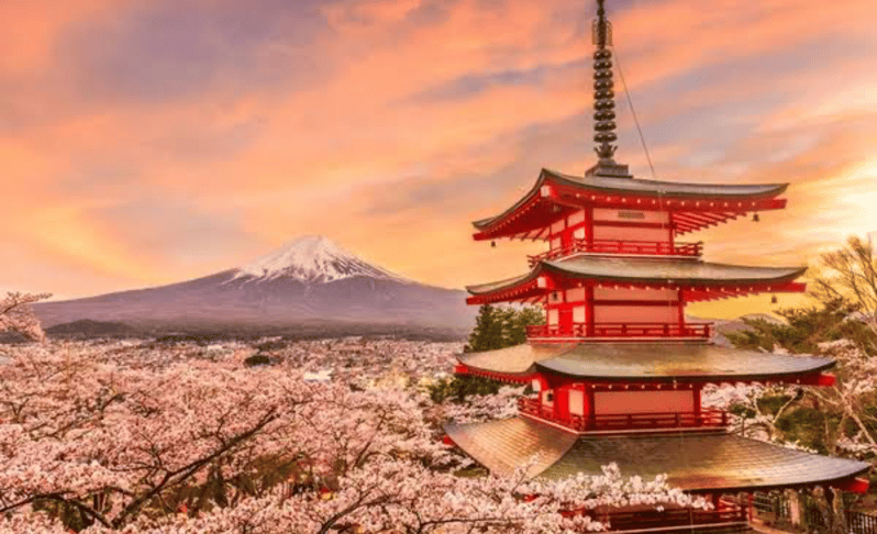 Mount Fuji Full Day Sightseeing Private Tour - Option 2: Mount Fuji Only